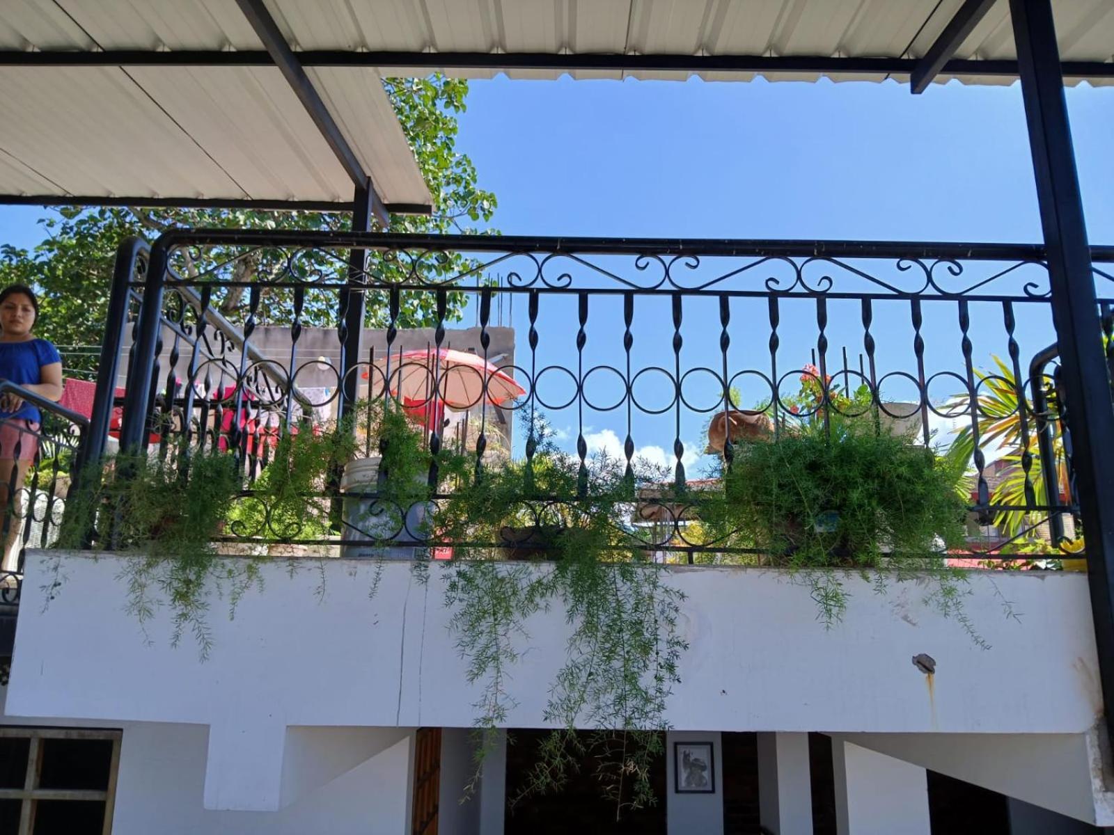 Alojamiento Familiar Custodia Tarapoto Exteriör bild
