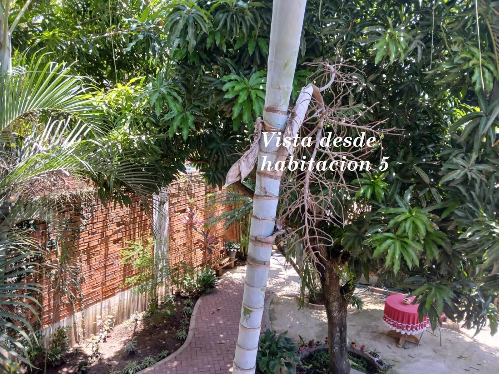 Alojamiento Familiar Custodia Tarapoto Exteriör bild